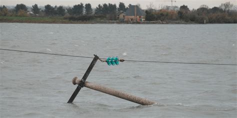 flooding in electrical box